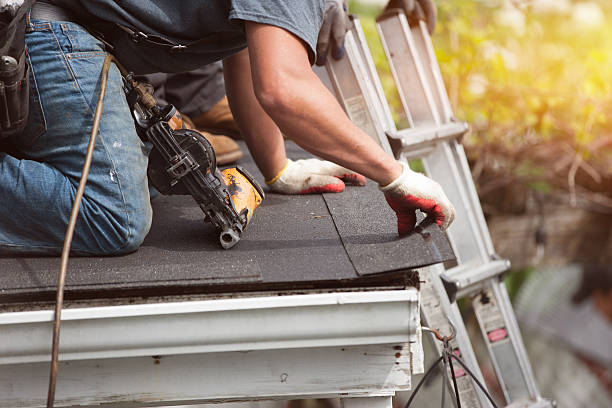 Roof Gutter Cleaning in Arnaudville, LA